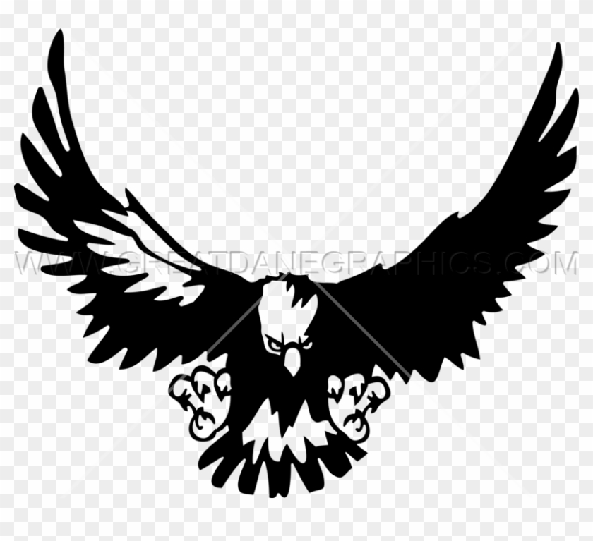 Hawk In Flight - Bald Eagle #1051649