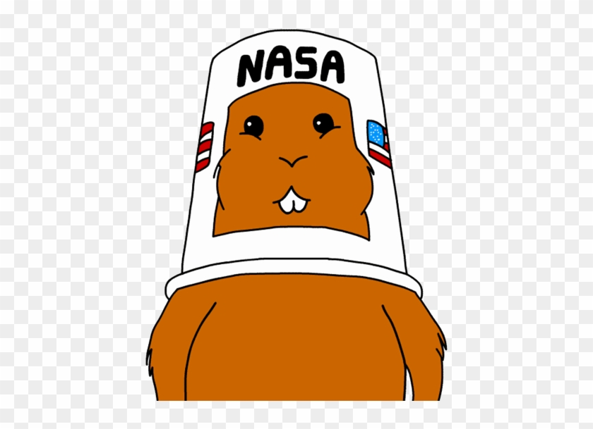 Construir - Hamster Nasa Simpsons #1051700