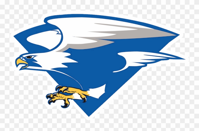 Air Force Falcons Football #1051719