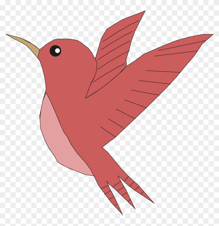Bird - Rufous Hummingbird #1051725