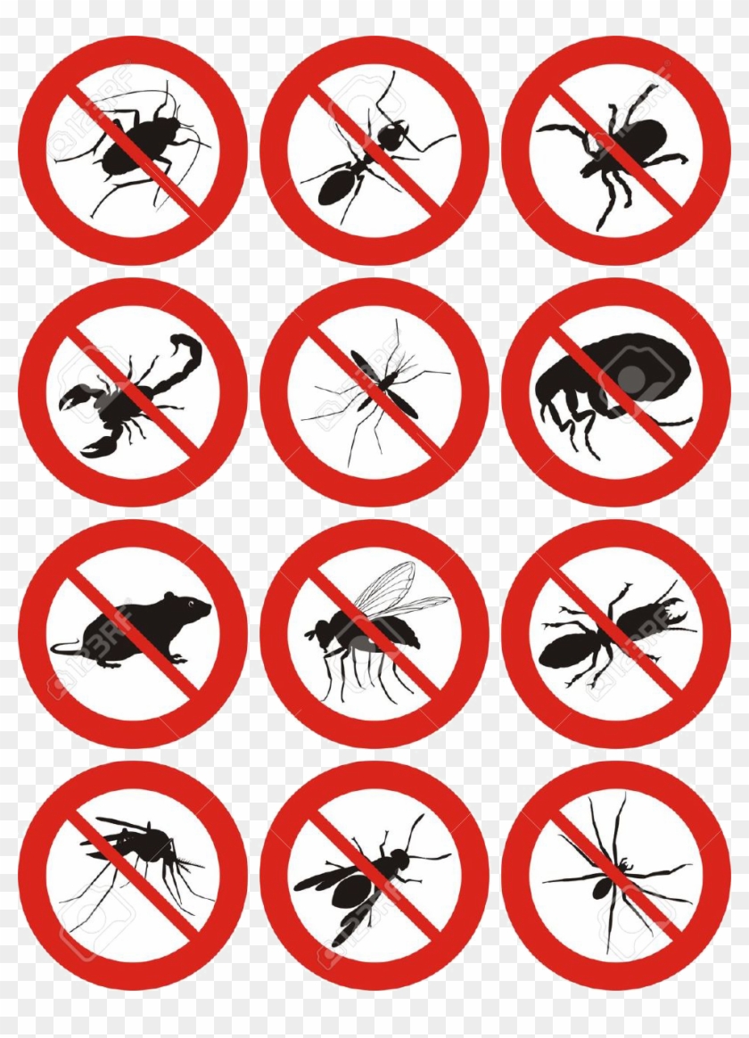 19903842 Pests Icon Pest Control Stock Vector Pest - Pest Control Images Free #1051856