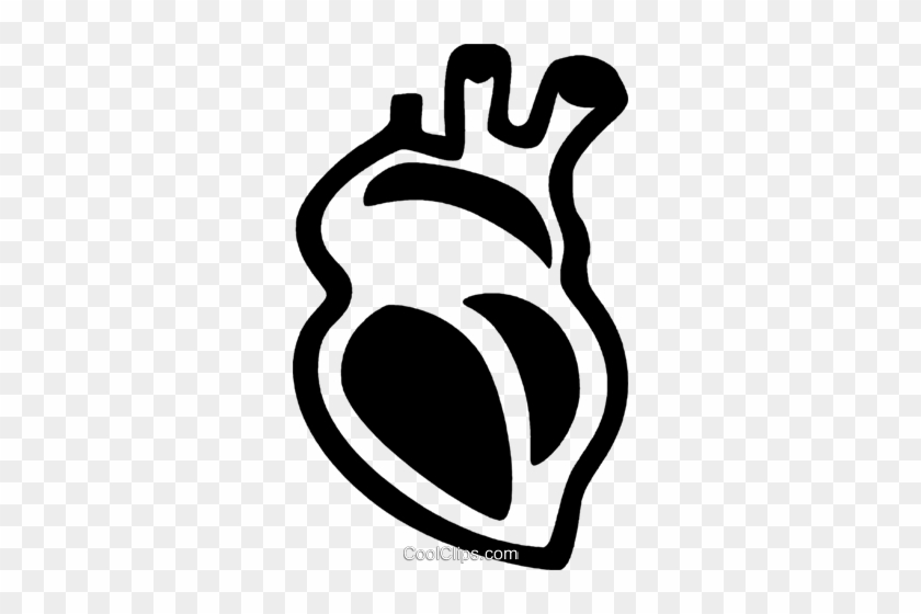 Human Heart Clipart Png - Real Heart Vector Png #1051877