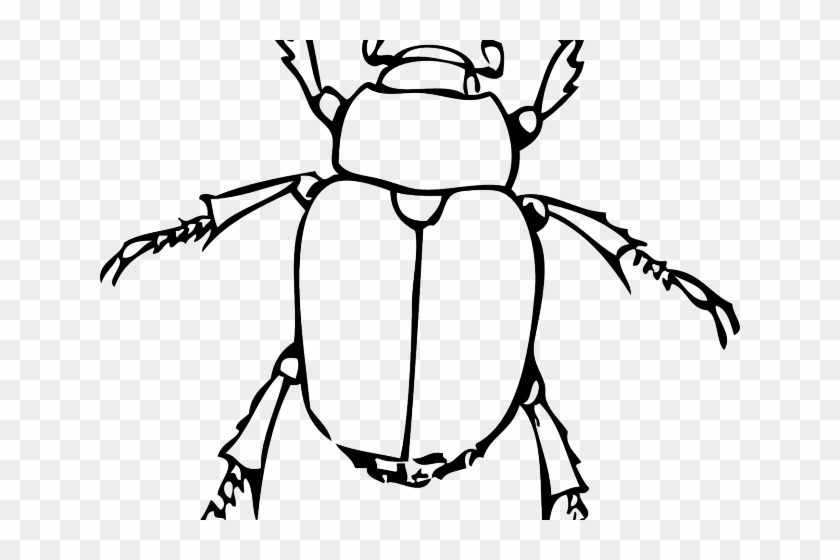 Insect Clipart Black And White - Bug Line Drawing #1052079