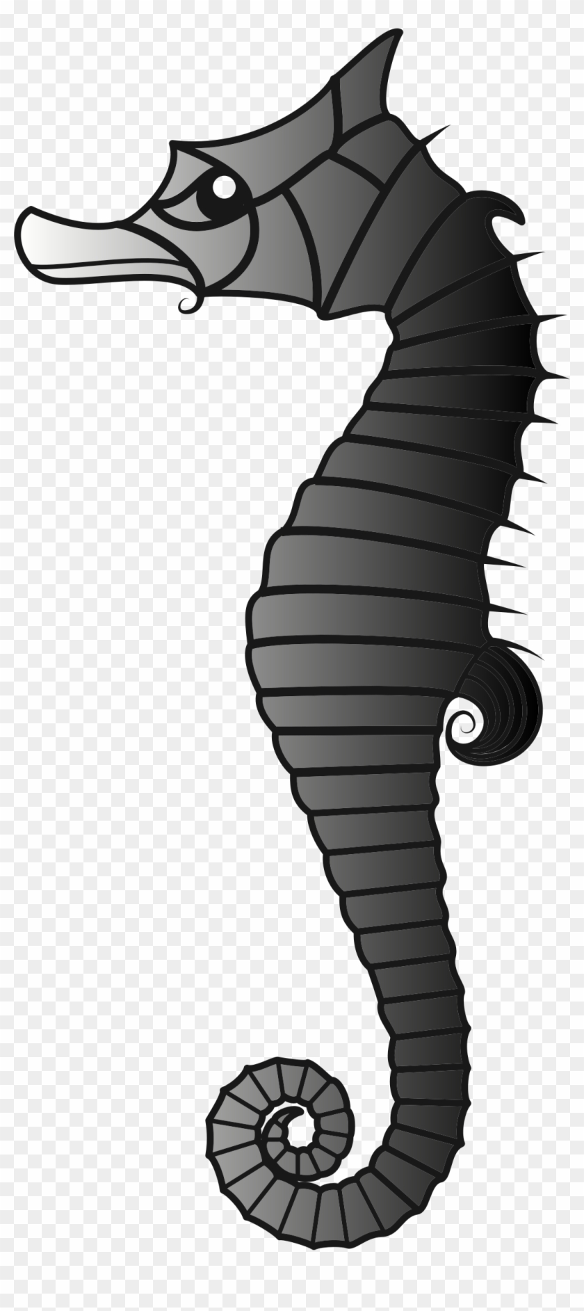 Seahorse - Illustration #1052167