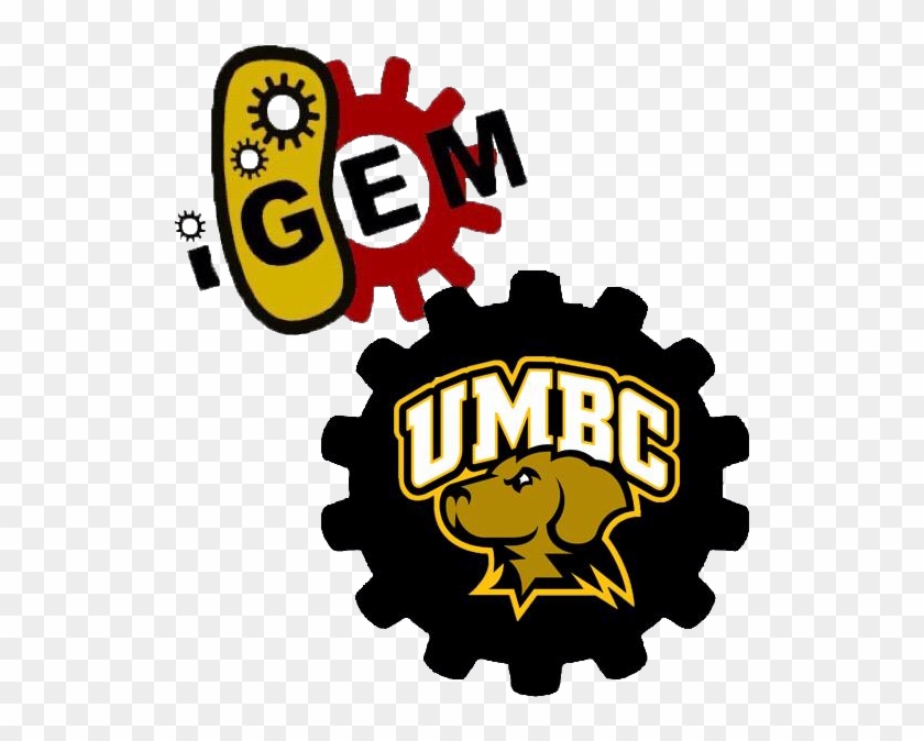 Team - Umbc-maryland/notebook - University Of Maryland, Baltimore County #1052256