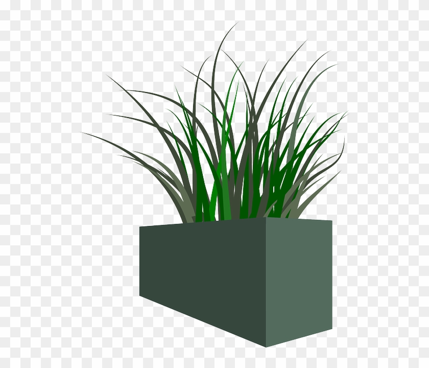 Pot, Grass, Plant, Weeds - Planter .png #1052434