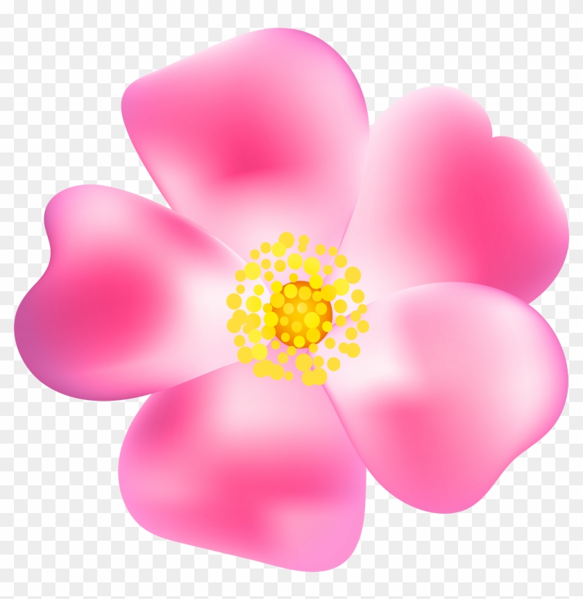 Pink Rose Blossom Png Transparent Clip Art Image - Teth #1052519