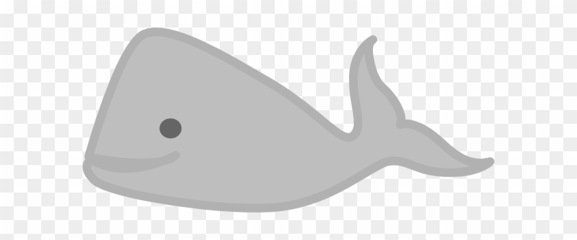 Sperm Whale Beluga Whale Killer Whale Clip Art - Cetacea #1052574
