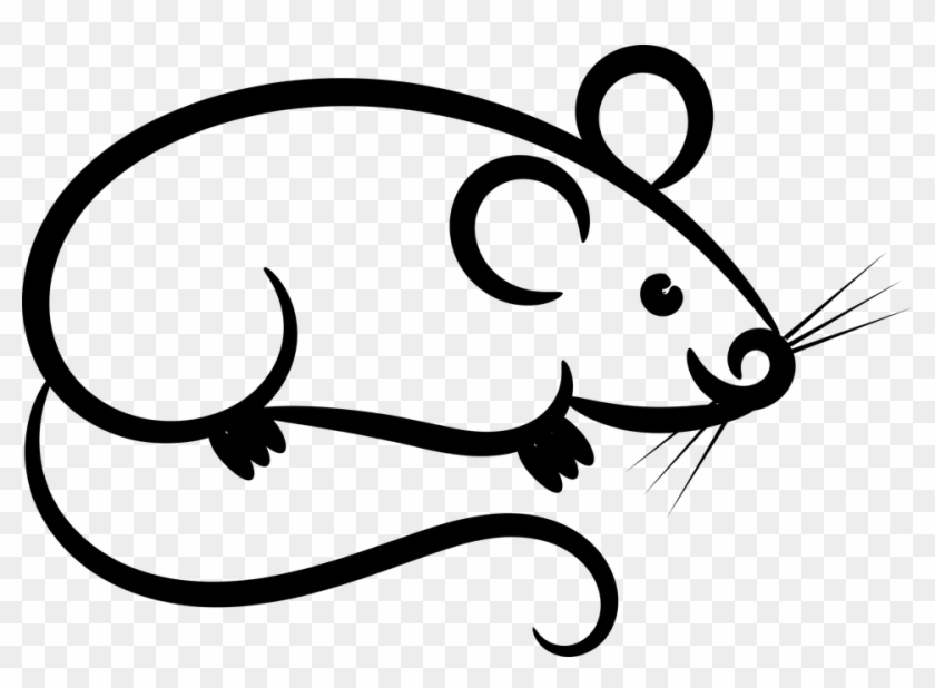 Whiskers Clipart Little Mouse - Clip Art #1052584