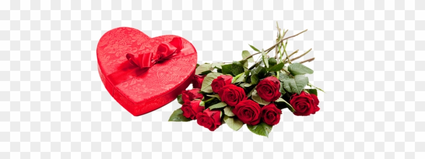 Gifts And Flowers Red Roses - Valentine Day Gift For Girlfriend #1052690