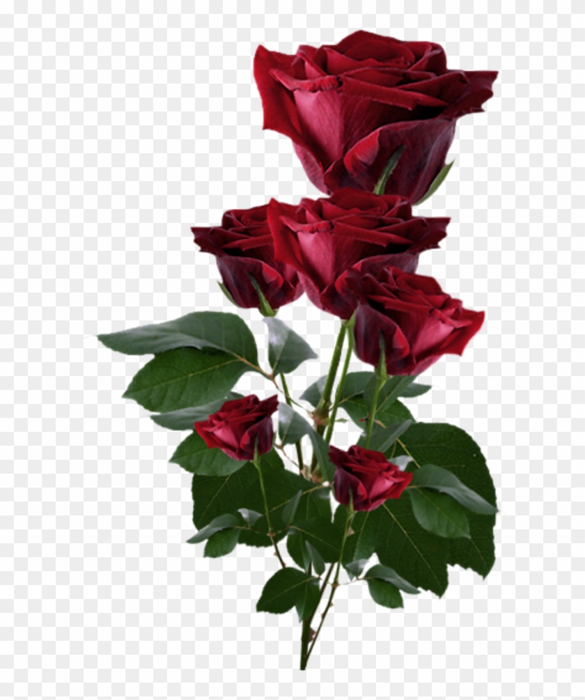 Love Id - Roses Png #1052705