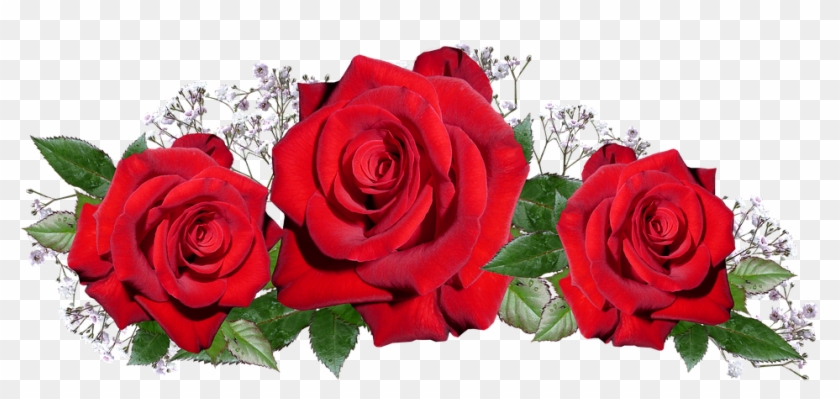 Roses, Red, Romantic, Anniversary, Love - Annaprasana Invitations #1052720