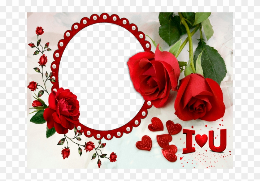 Sweet Love Photo Frames Beautiful Love Photo Frame Free Transparent Png Clipart Images Download