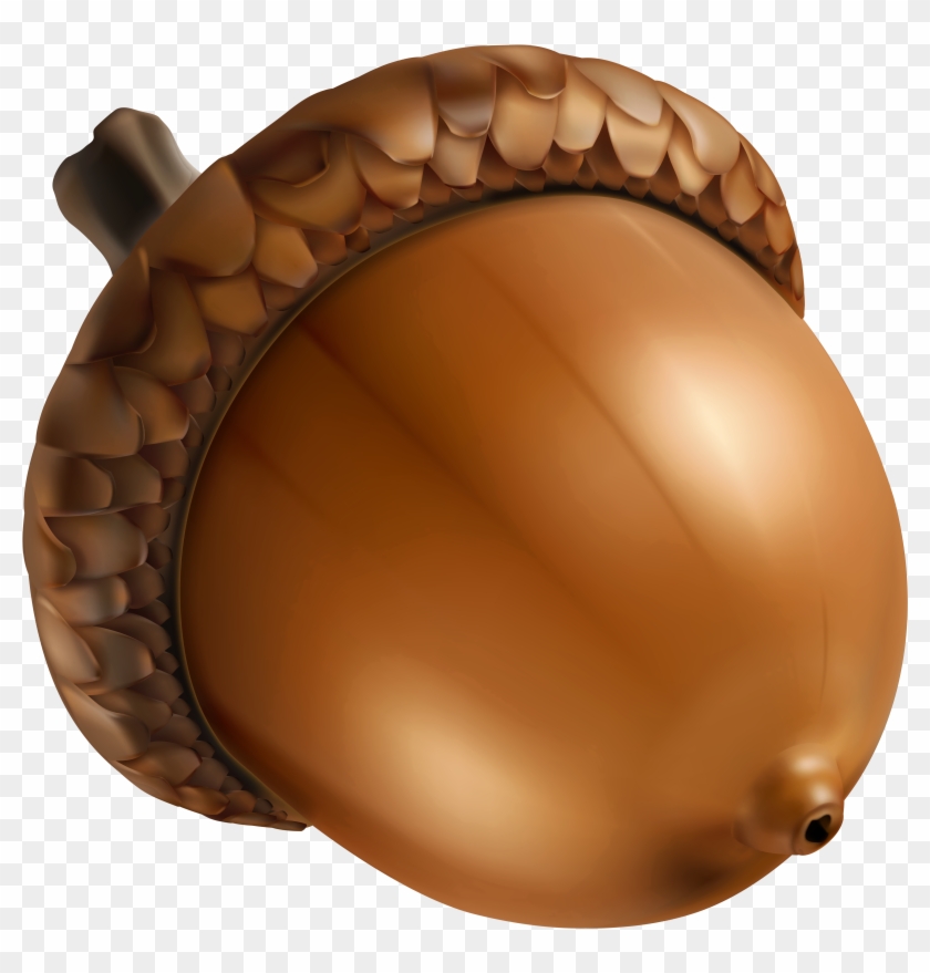 With Acorn Nut - Acorn Png #1052766