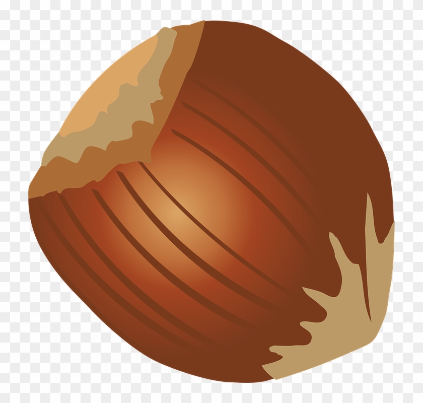 Hazelnut Clipart Brown Fruit - Hazelnut #1052817