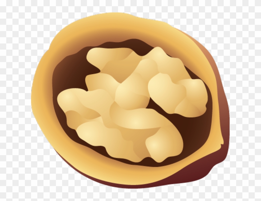 Walnut Clipart Cute - Free Walnut Vector Png #1052839