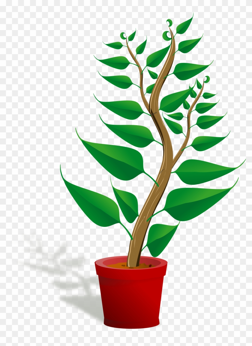 Clip Art Plant - Getting To Know Plants #1052949