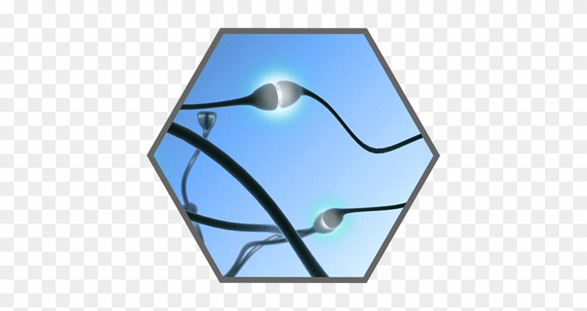 Img - Memory #1053002