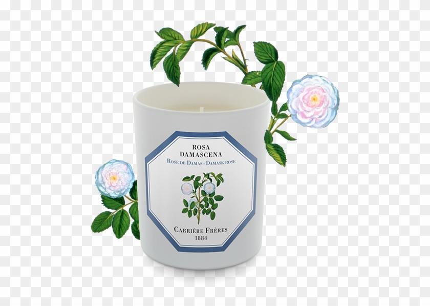 Damask Rose - Carriere Freres - Damask Rose (rosa Damascena) Candle #1053829