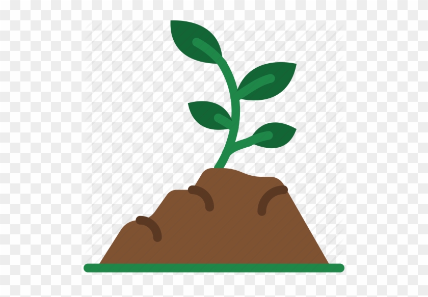 Plant Tree Growing Seedling In Soil Isolated On White - Soil Fertility #1054067