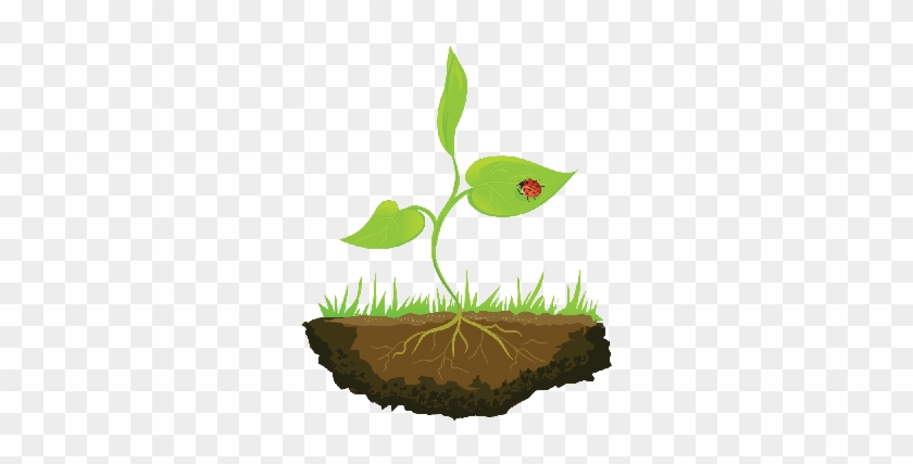 Growing Shoots Out Of The Ground - Stock Illustration #1054139