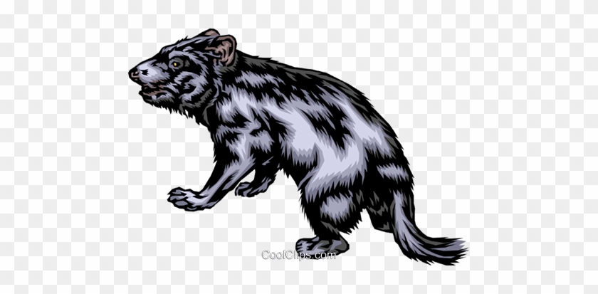 Lobo Da Tasmânia Livre De Direitos Vetores Clip Art - Tasmanian Devil #1054164