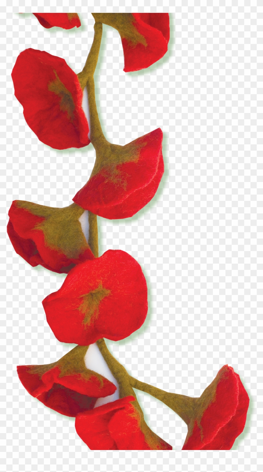 Felted Flower Scarves - Anthurium #1054177