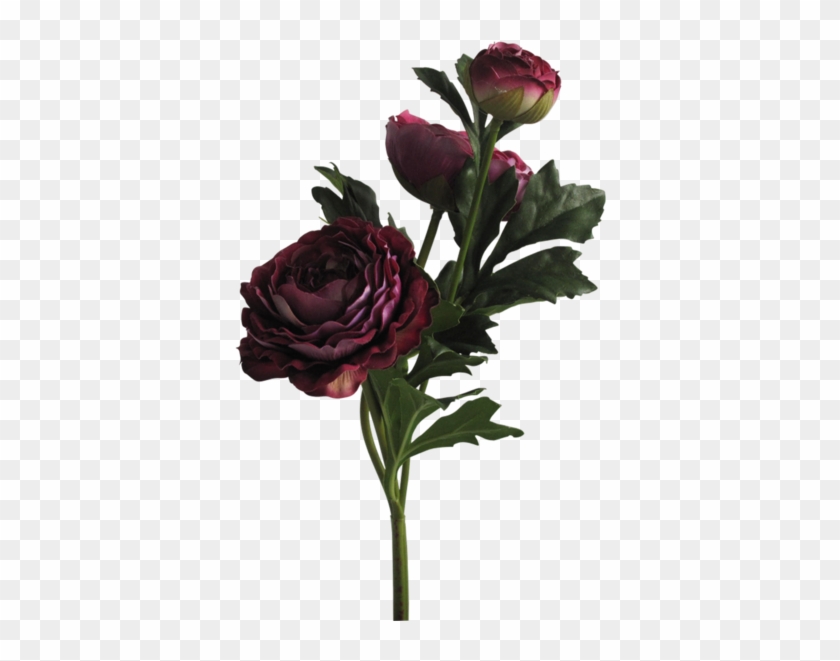 Garden Roses Floral Design Portable Network Graphics - Aesthetic Flower Png #1054261