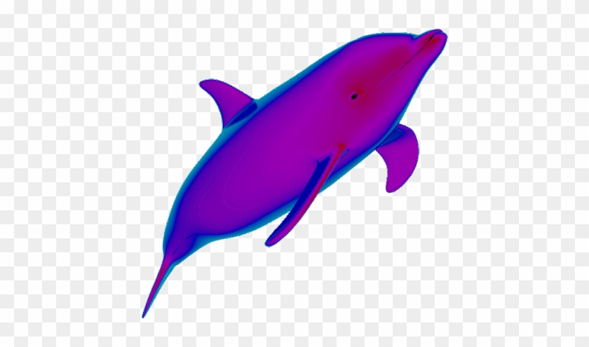 Cool Animated Dolphins Clip Art Images At Best Animations - Vaporwave Dolphin Gif #1054386