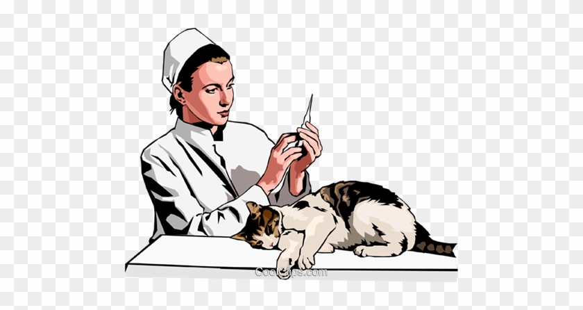 Vet Preparing Injection For Cat Royalty Free Vector - Vet Preparing Injection For Cat Royalty Free Vector #1054573