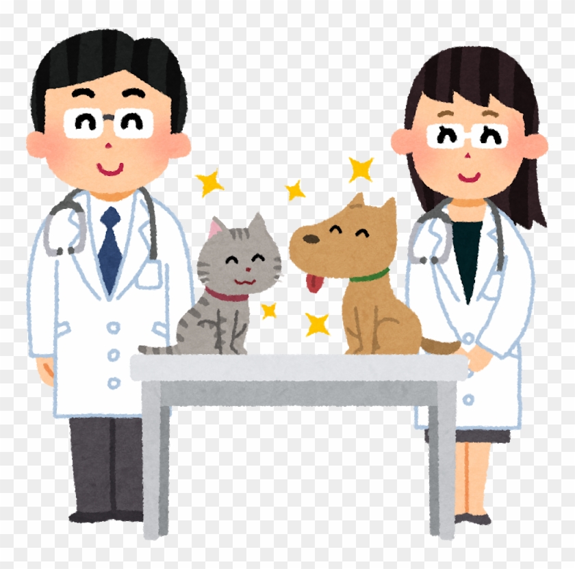 Hospital Veterinarian Caregiver 診療 Internal Medicine - Veterinary Physician #1054578