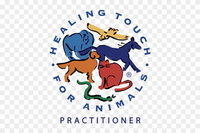 "i Believe That Animals Have Thought Processes, Feelings, - Healing Touch For Animals #1054589