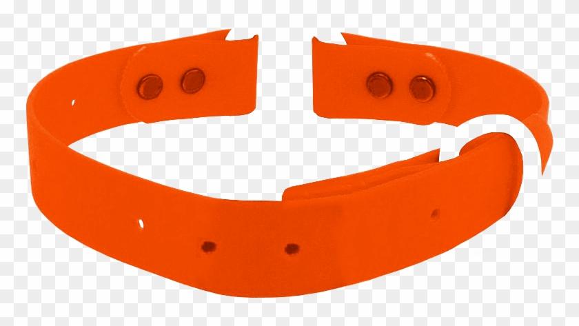 Tangerine Waterproof Collar - Bracelet #1054697