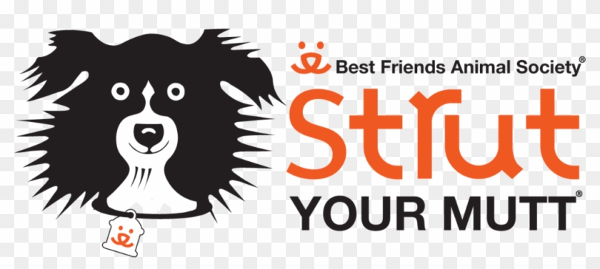 “best Friends Animal Society's Strut Your Mutt Event - “best Friends Animal Society's Strut Your Mutt Event #1054740