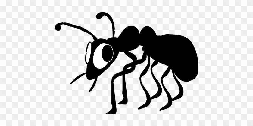 Ant Bug Insect Antenna Pest Wildlife Worke - Black Ant Clip Art #1054814