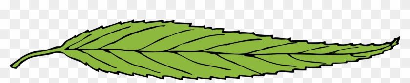 Leaf - Long Skinny Leaf Clipart #1054871