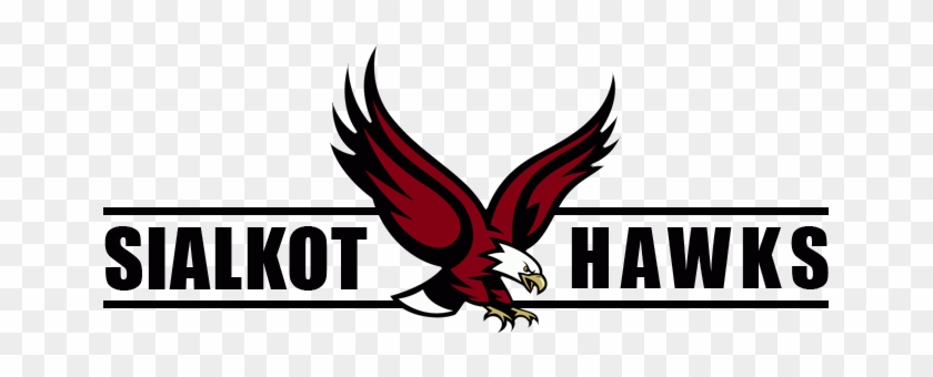 Sialkot Hawks-manufactures & Exporter Of Martial Arts,sports - Boston College Eagles 12'' X 12'' Moveable Decal #1054899