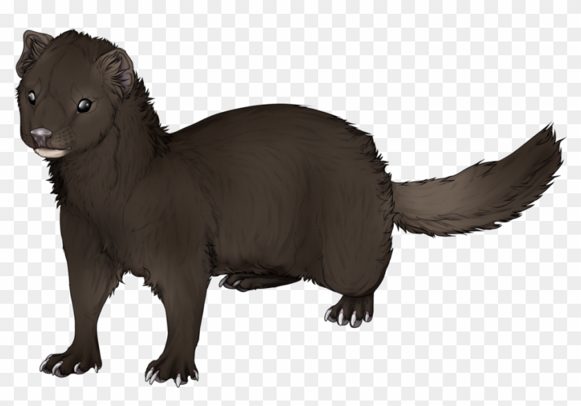 Mink Ferret Drawing Clip Art - Stone Marten Clipart #1055023