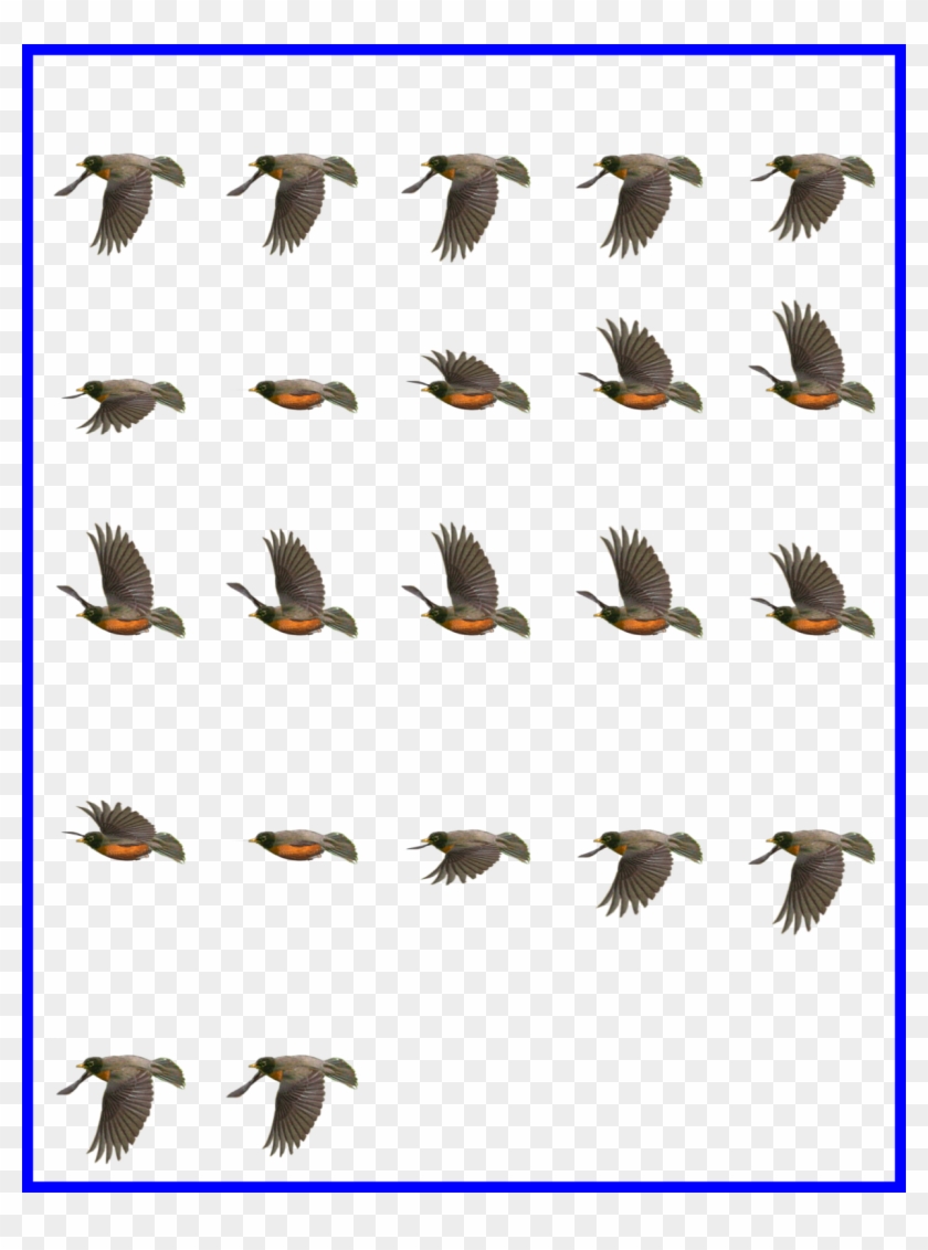 robin flying clipart