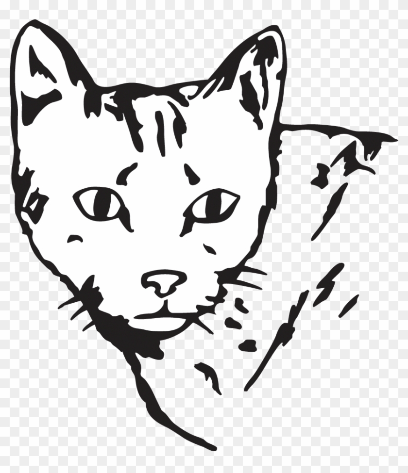10 - Kitten #1055367