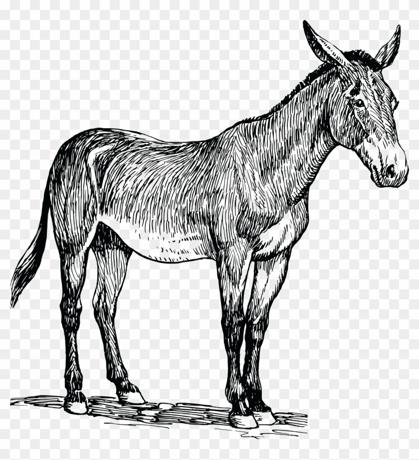 Free Clipart Of A Mule - Mule Clipart #1055425