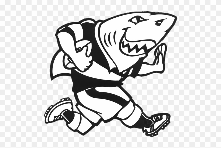 Download - Sharks Rugby Png #1055562
