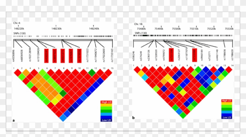 Top Hit 2-series Of Interacting Snp Pairs On Chromosomes - Diagram #1055941