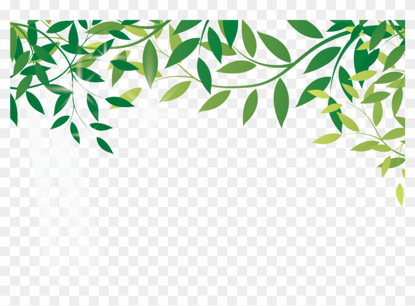 Com Earth Leaf Online Shopping Amazon Rainforest Amazon Forest Vector Free Transparent Png Clipart Images Download Com Earth Leaf Online Shopping Amazon Rainforest Amazon Forest Vector Free Transparent Png Clipart Images Download