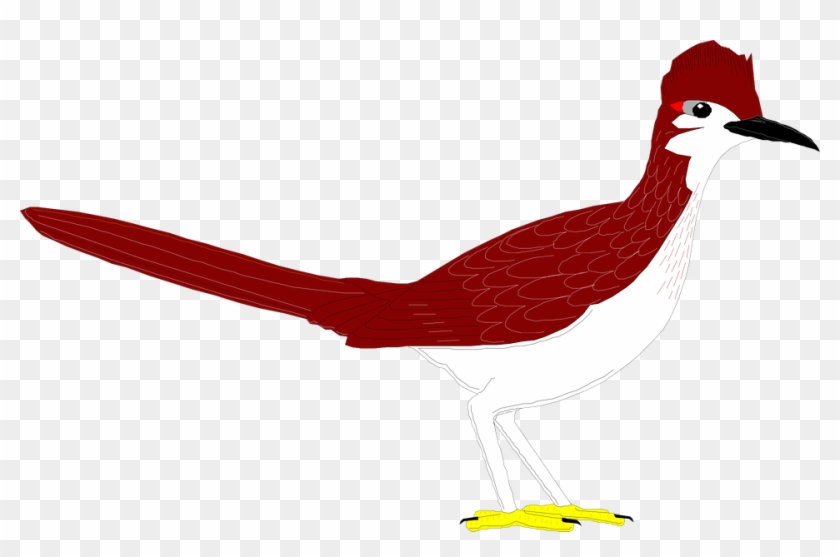 Roadrunner Clipart Bird - Road Runner Clip Art #1056138