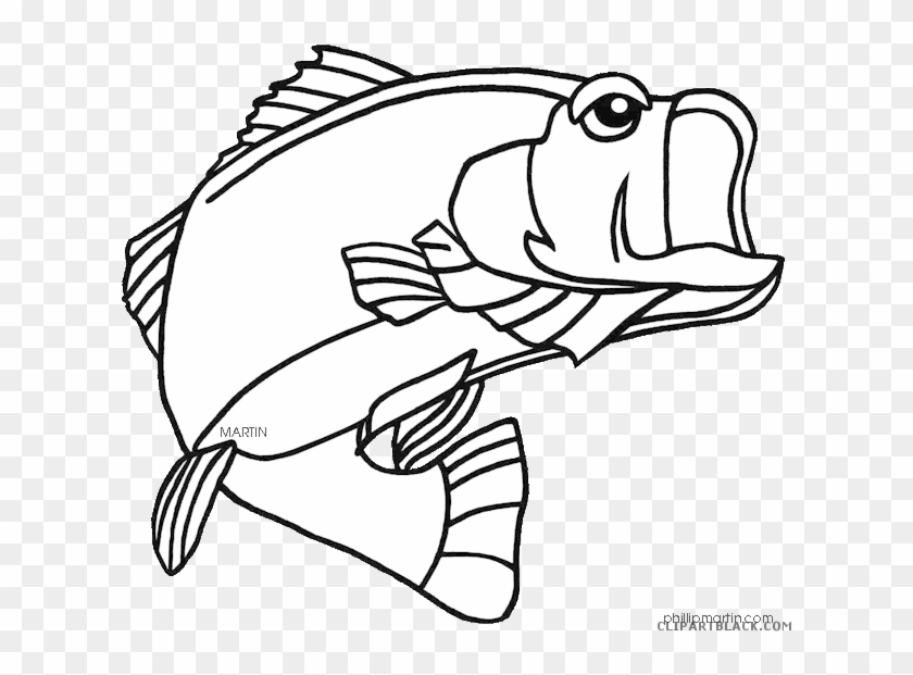 Bass Fish Animal Free Black White Clipart Images Clipartblack - Largemouth Bass Coloring Page #1056224