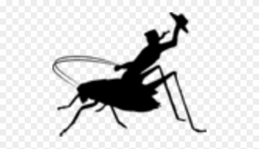 Cowboy Cricket Farms - Cowboy Crickets #1056352