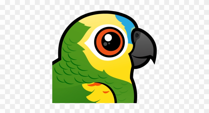 About The Blue-fronted Parrot - Parrot #1056407