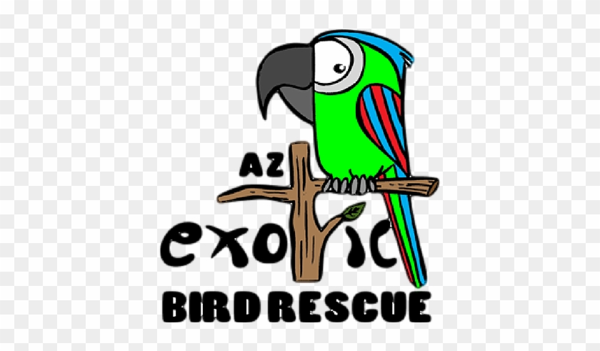 Az Exotic Bird Rescue - Az Exotic Bird Rescue, Inc. #1056418