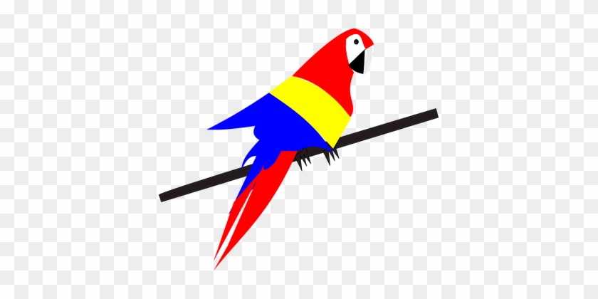 Parrot Bird Exotic Tropical Parrot Parrot - Papagayo Clipart #1056432